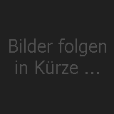 Dietz Kabel für DIE-66040 (UNICO DUAL) BMW