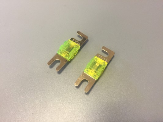 Dietz Sicherung Mini-ANL 100 Ampere (2 Stück)