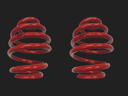 V-MAXX "60S BM 13R" / HINTERE Federn (Gewindefahrwerk): 60 BM 13 (Beschriftung: BM 12R.) (2 St.)