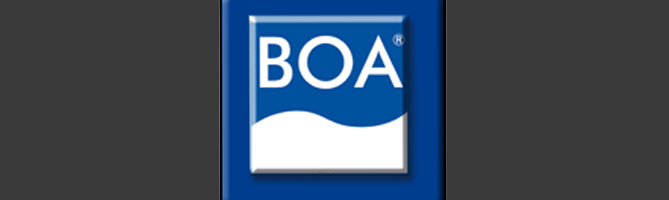 Boa Boa