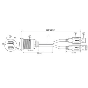 AMPIRE Doppel-USB-Einbaubuchse mit 60cm Kabel und Halterung