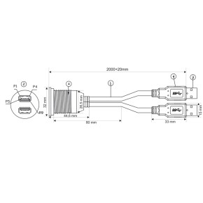 AMPIRE Doppel-USB-Einbaubuchse mit 200cm Kabel und Halterung